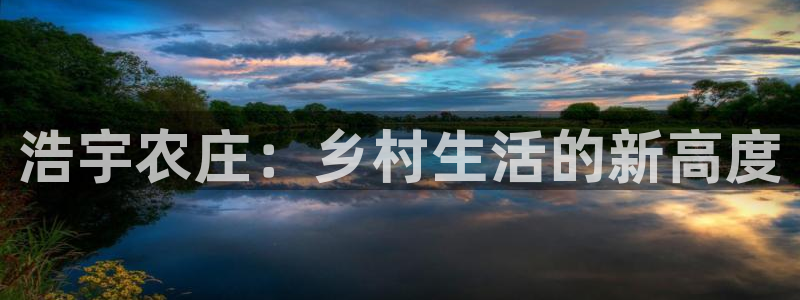 金年会金字招牌