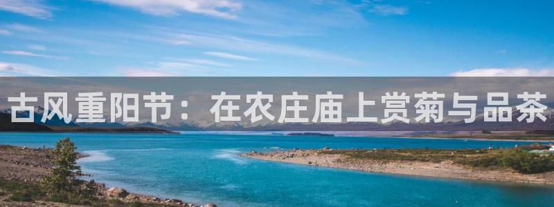 金年会金字招牌