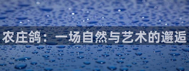 金年会网登录平台入口