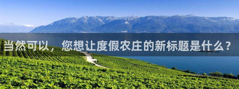 金年会是赌博的吗