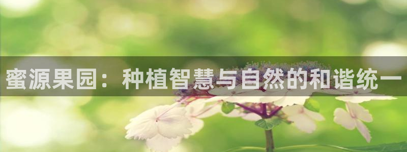 金年会投注官网