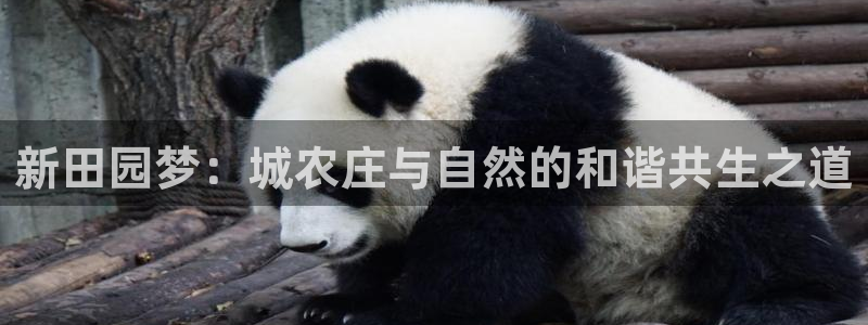 金年会官方在线登录