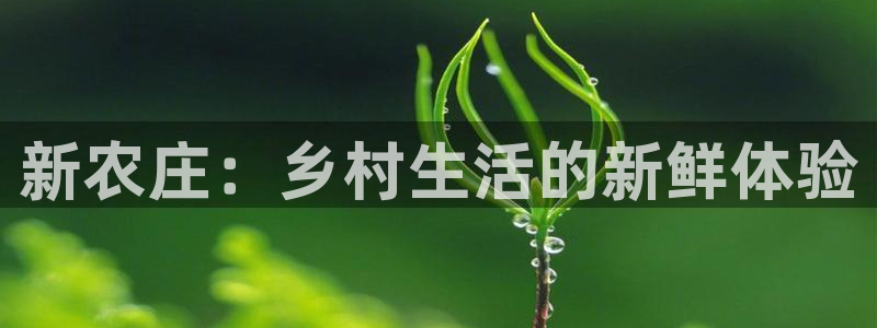 金年会登录入口