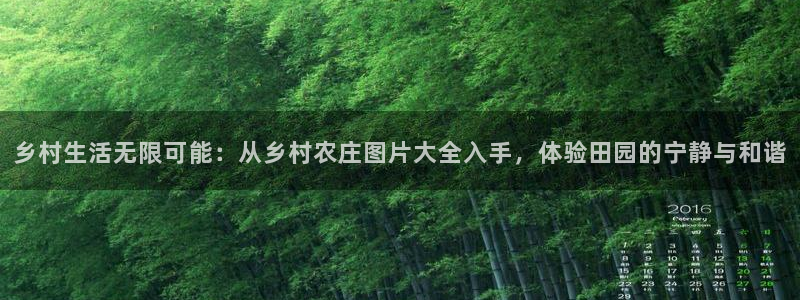 金年会投注官网