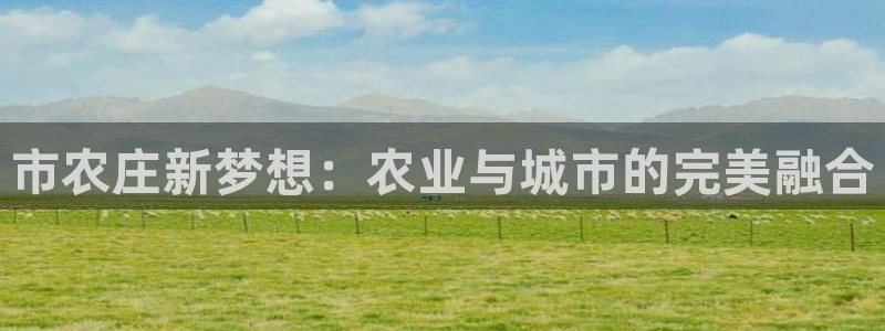 澳门金年会棋牌