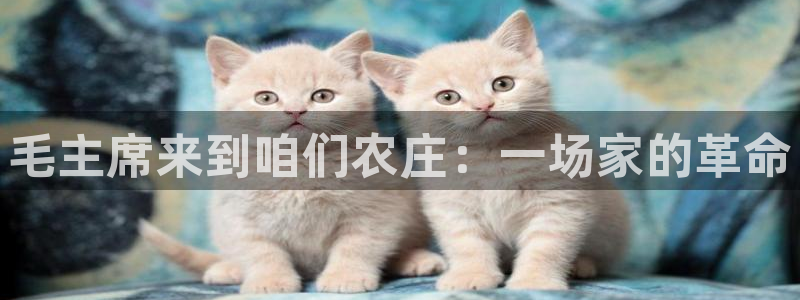 金年会彩票网址下载