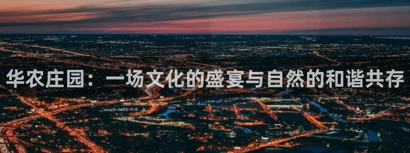 金年会体育平台官网