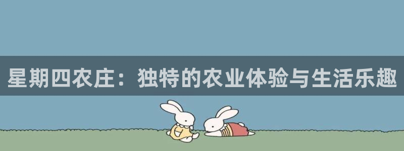 澳门与金年会的关系