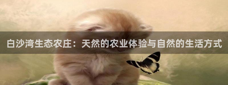 金年会平台出款