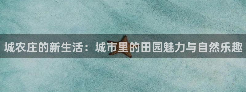 金年会平台出款