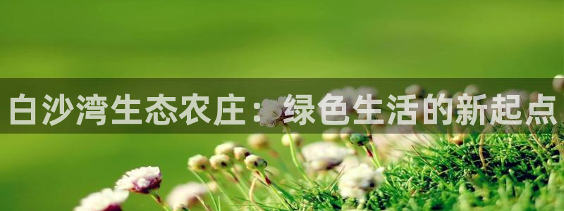 金年会平台游戏