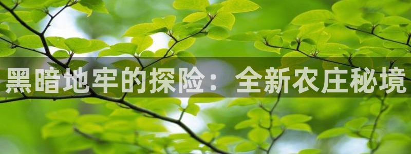 金年会综合APP