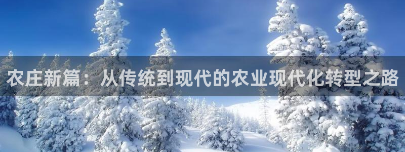 金年会 中国 金年会