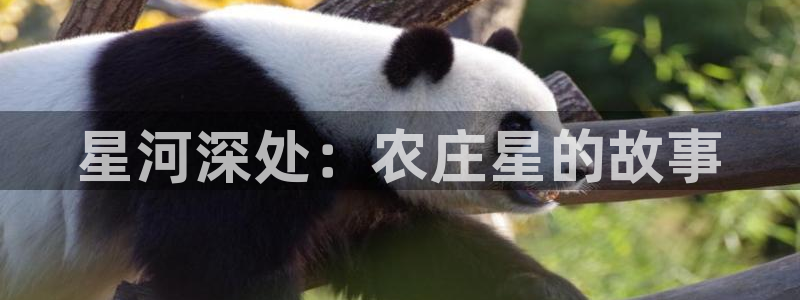 金年会 金字招牌