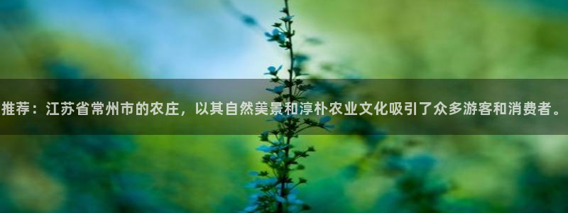 金年会投注官网