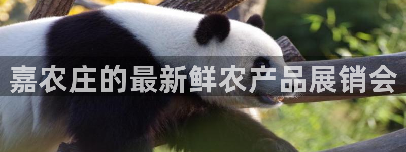 金年会娱乐下载