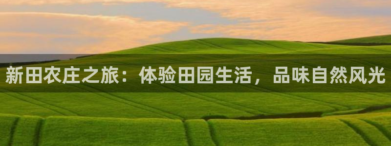 金年会官方网站下载