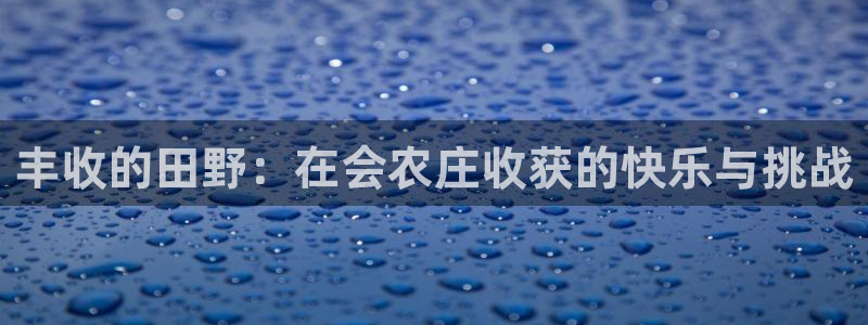 金辉城年会视频