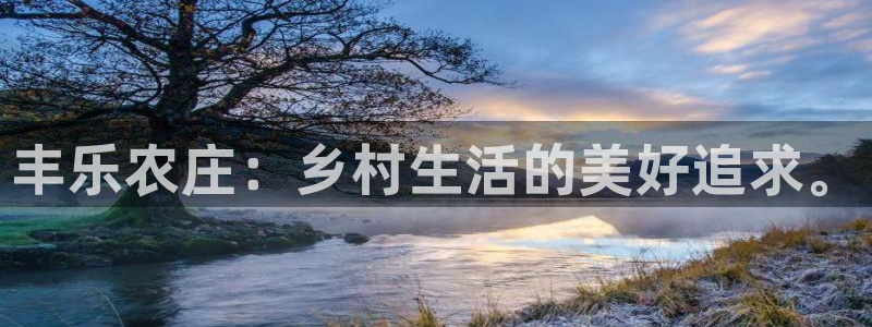 金辉城年会视频