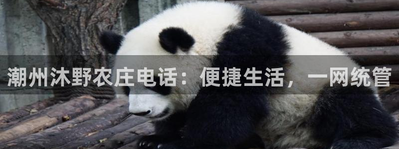 金年会平台出款