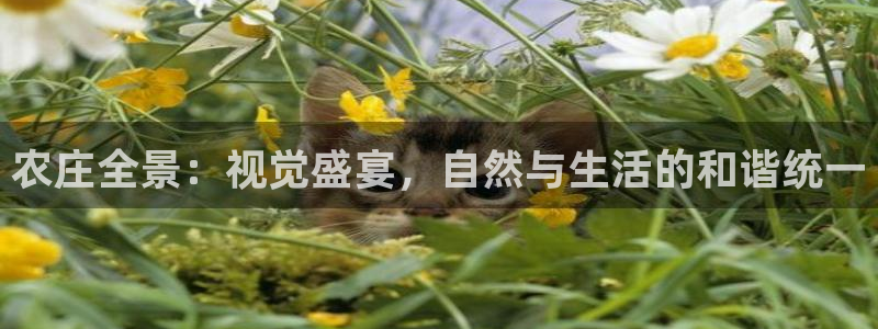 金年会官方网站