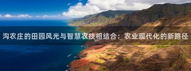 金年会官方客服