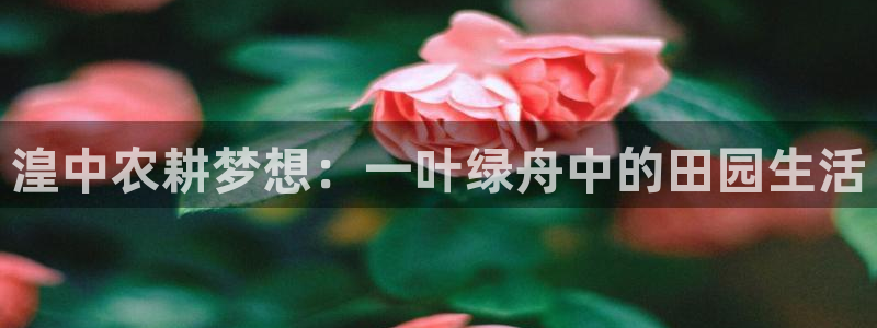 金年会官网登入