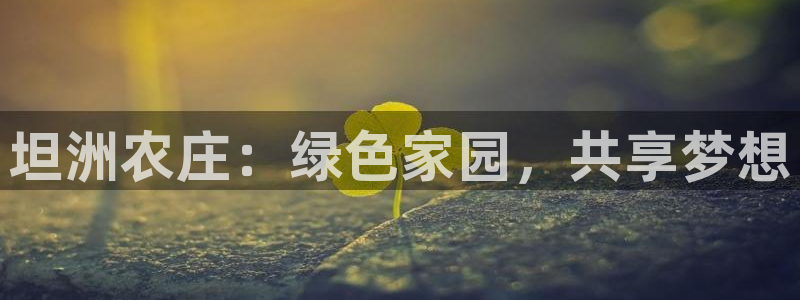 金年会投注官网