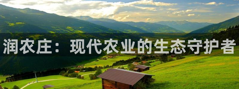 金年会体育官网在线