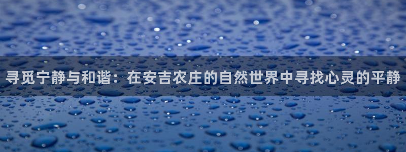 金哥年会