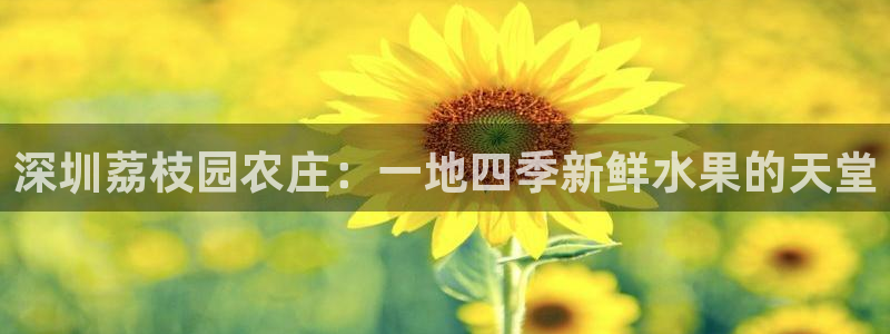 金年会登录平台入口