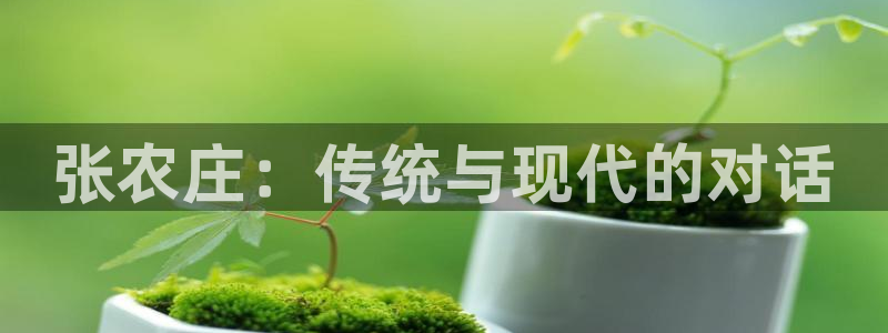 金年会菲律宾