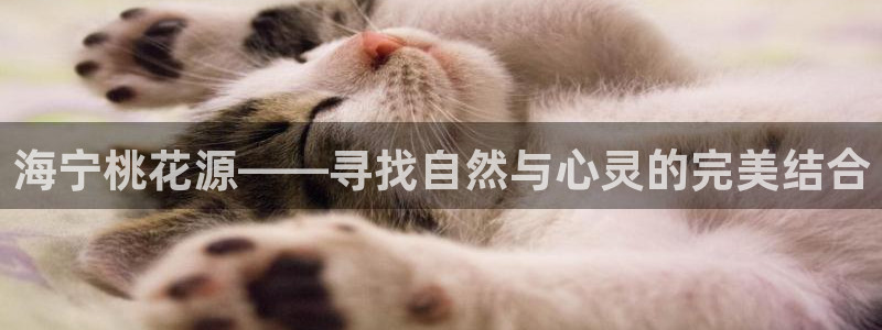 金汉江年会
