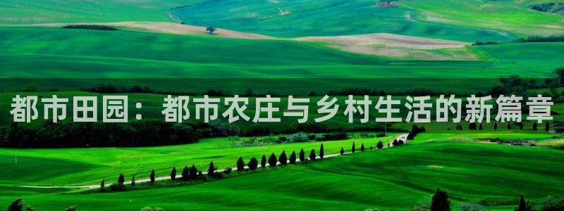 年会金