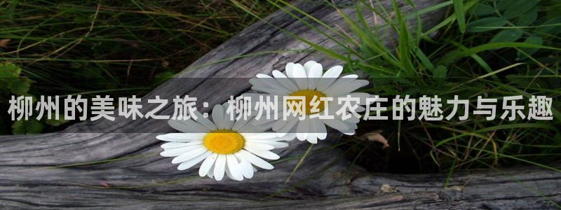 金年会网官网新版