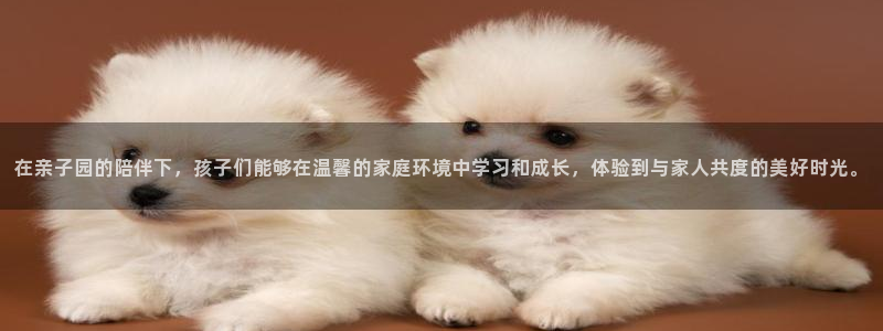 金年会娱乐和马竞