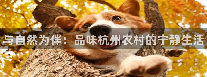 金年会投注官网