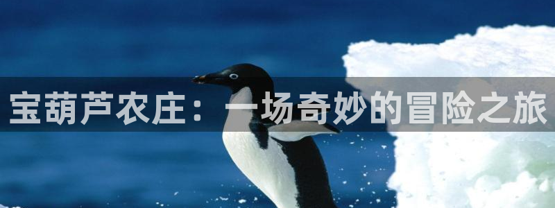 金年会金字招牌信誉至上